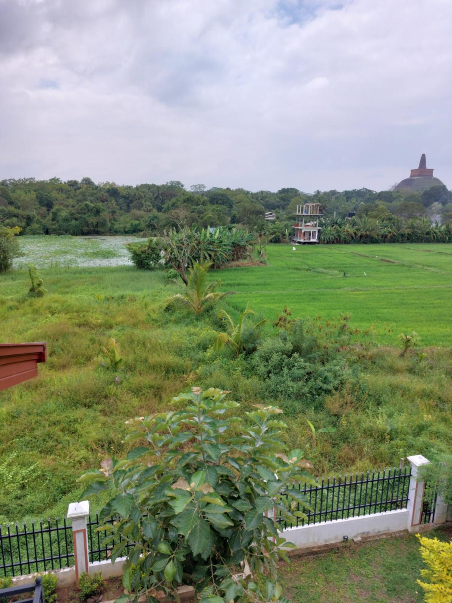 Green Shield Resort أنرادابورام المظهر الخارجي الصورة