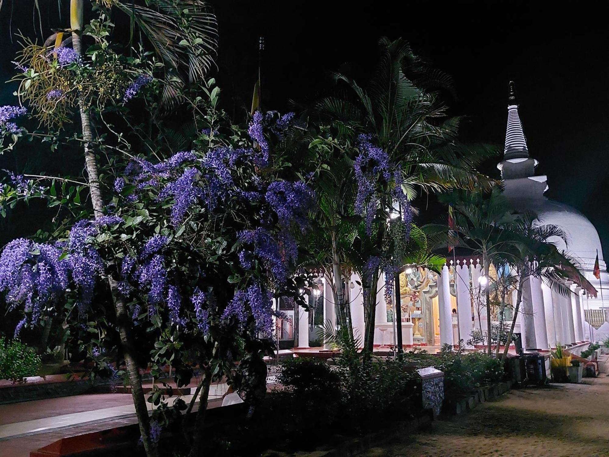 Green Shield Resort أنرادابورام المظهر الخارجي الصورة
