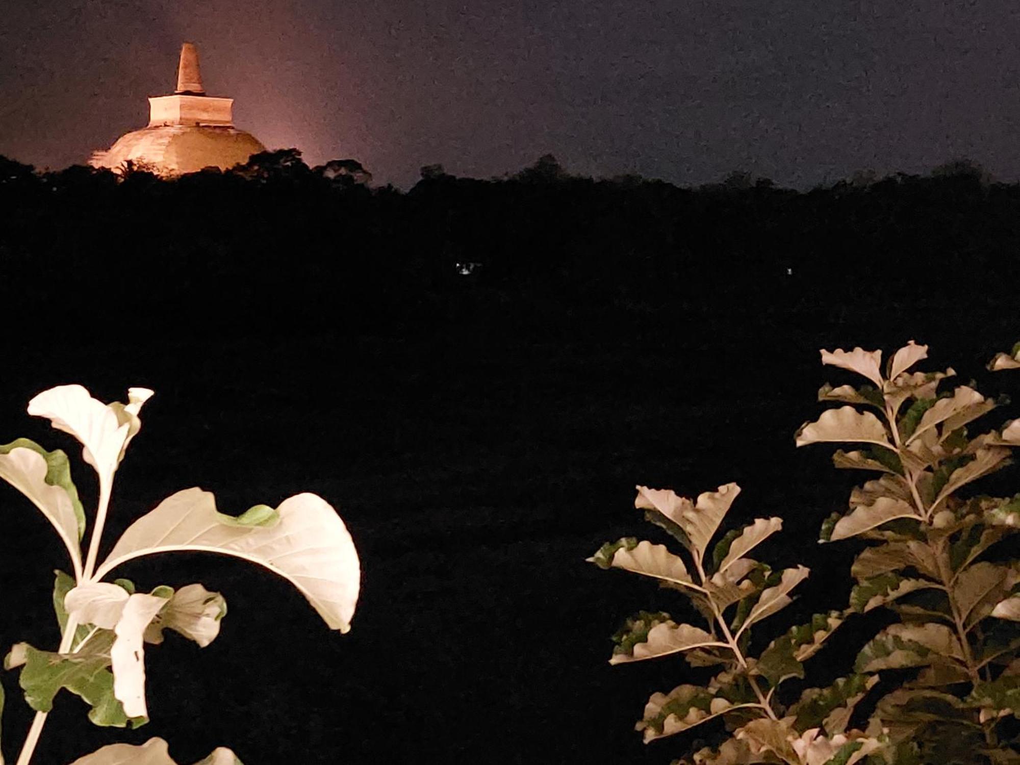 Green Shield Resort أنرادابورام الغرفة الصورة